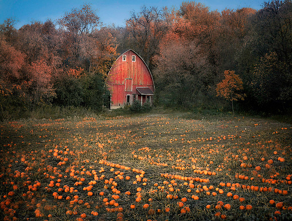 Woodbury, MN