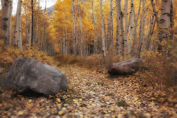 Colorado Road