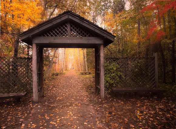 Minnesota